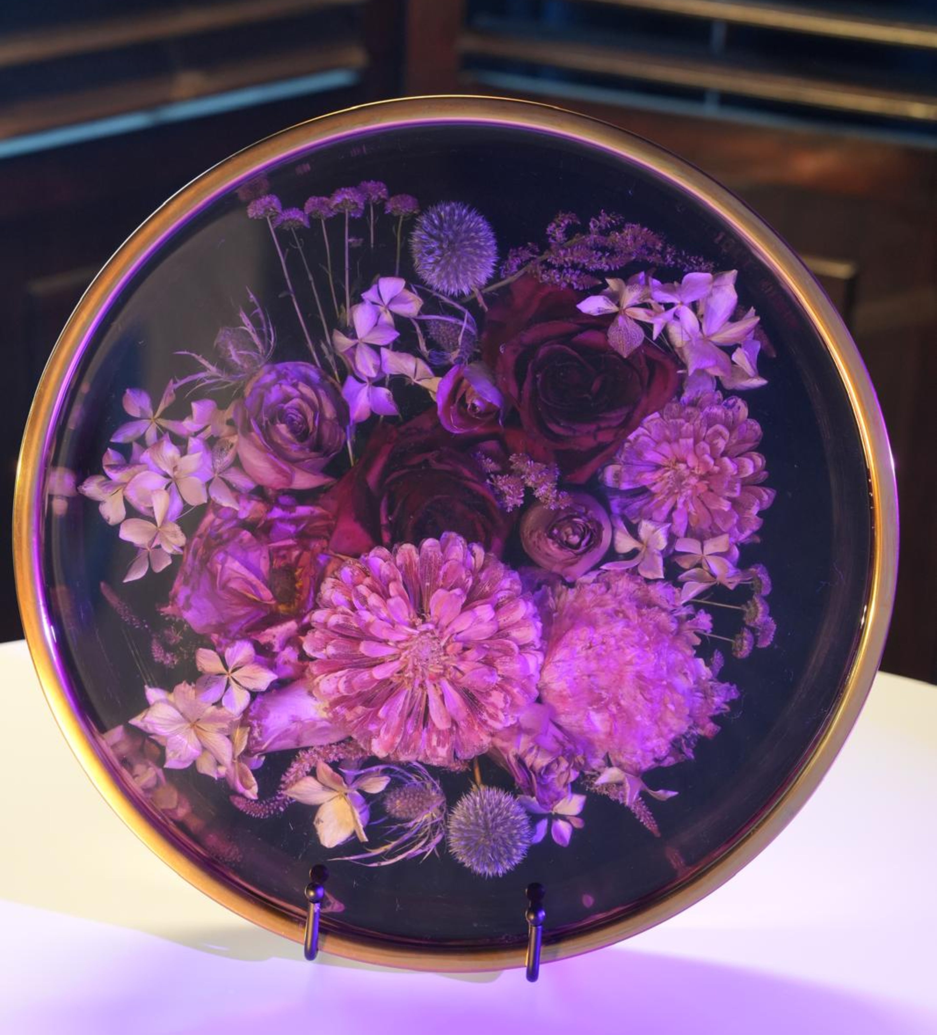 Velvet Midnight Bloom | Botanical Collection