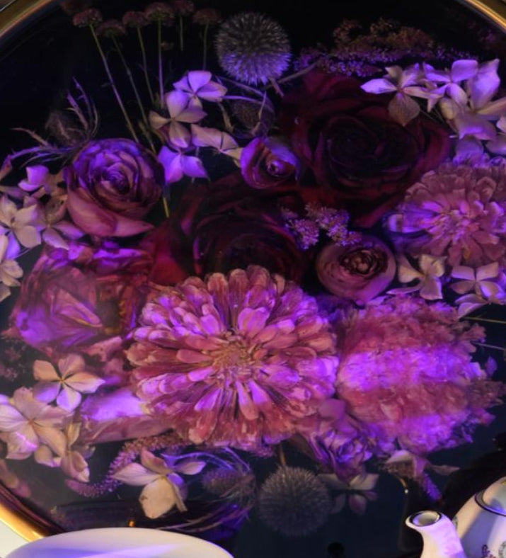 Velvet Midnight Bloom | Botanical Collection